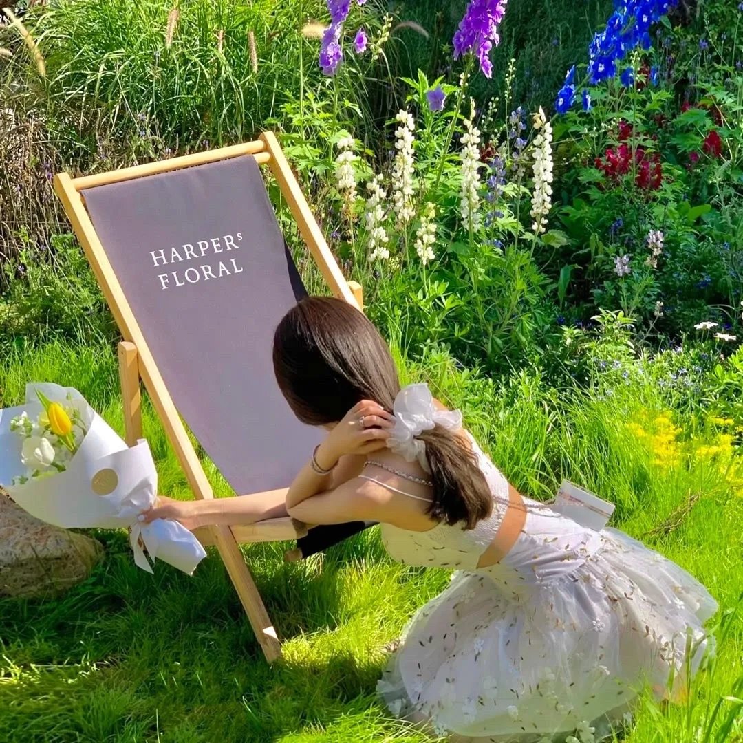 皇家律师 第三季